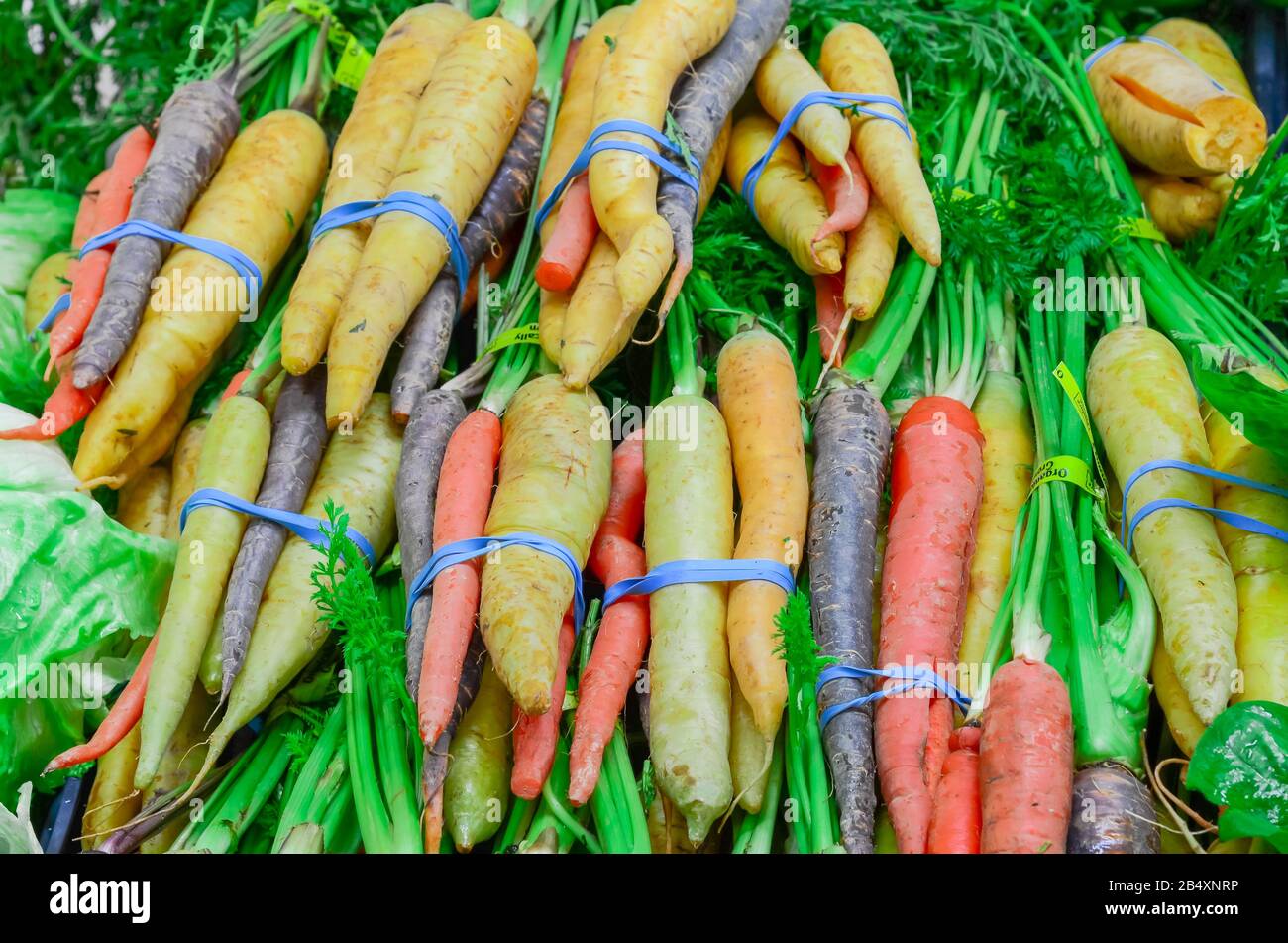 rubber bands for vegetables
