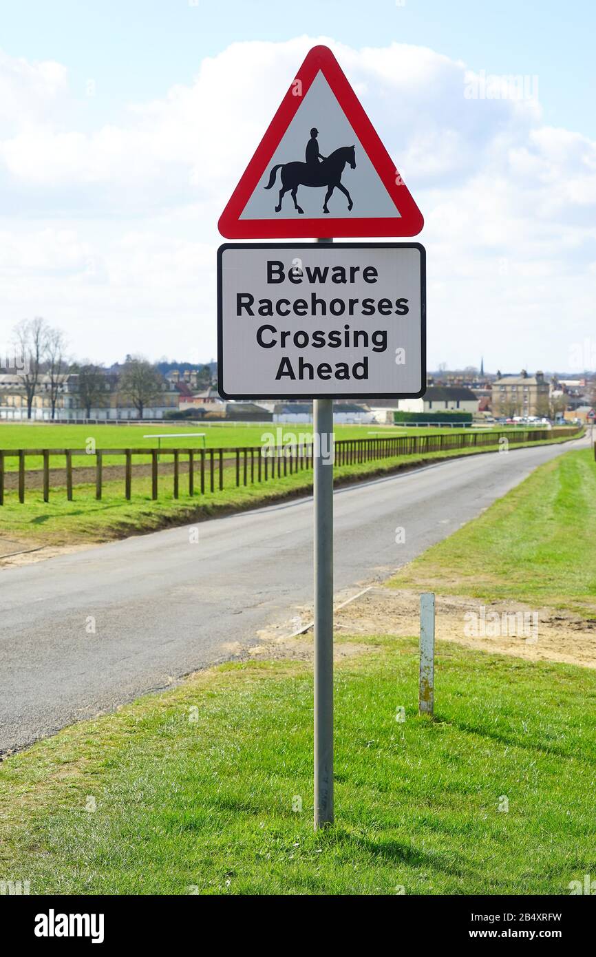 Beware of racehorses crossing the road sign at Newmarket Stock Photo