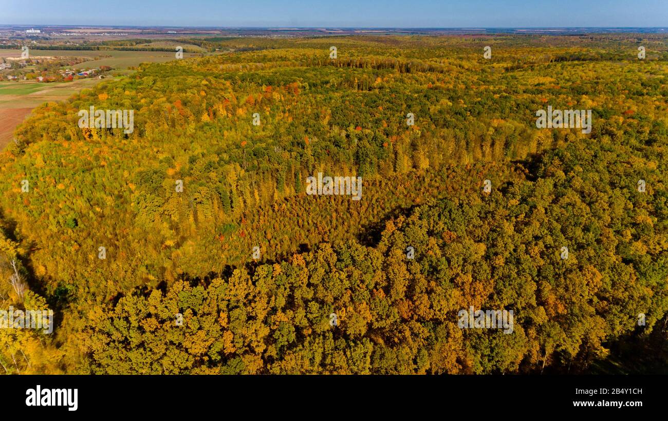 Aerial view of the colorful autumn forest Stock Photo - Alamy