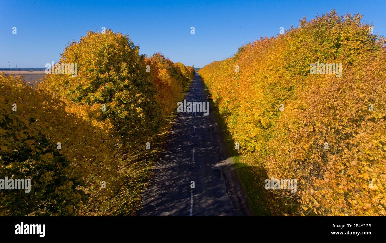 Colorful autumn trees aerial hi-res stock photography and images - Alamy