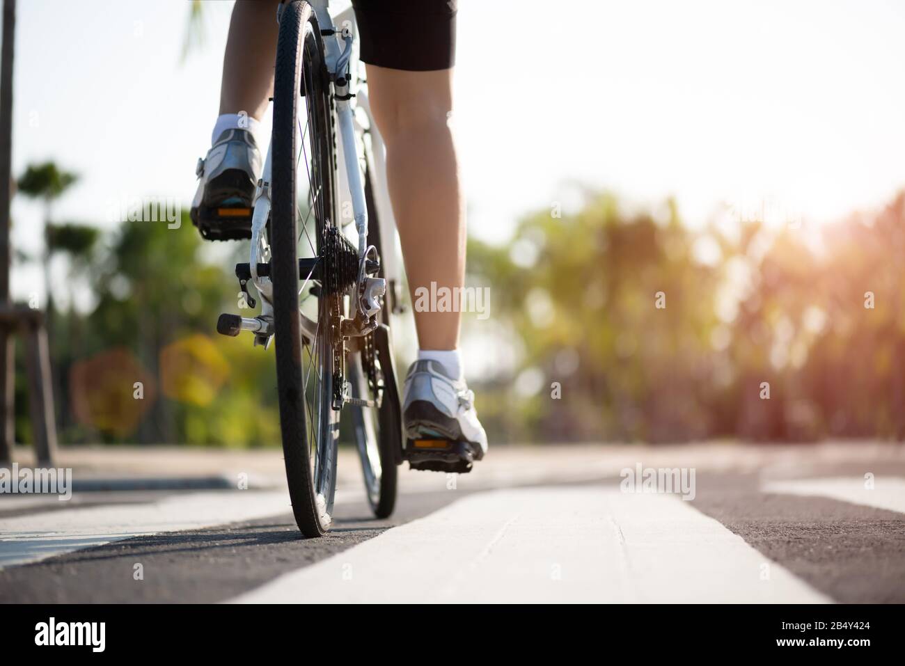 Велосипедист на закате. Семья на велосипедах. We a bike in the morning. Девушка на велосипеде. Доброе утро велоспорт.