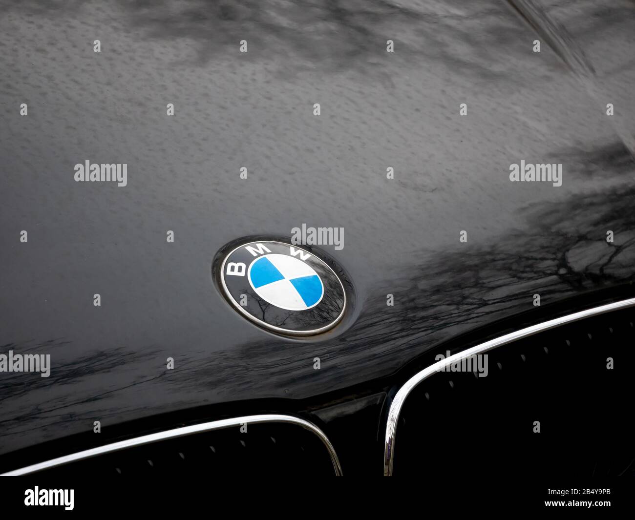BERLIN, GERMANY - FEBRUARY 12, 2020: BMW Logo On A Black Car With Reflections of Trees Stock Photo