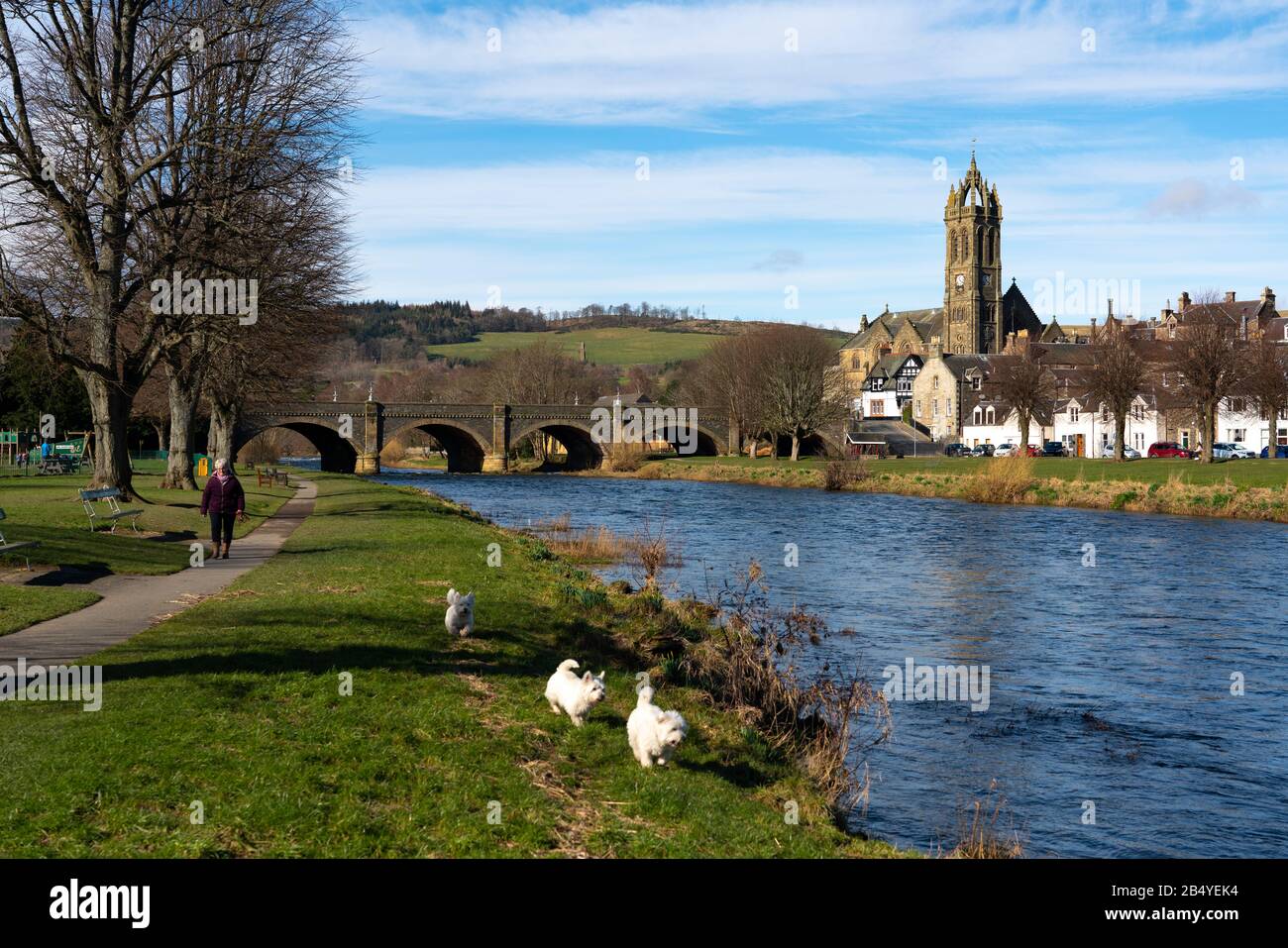 View of River Tweed flowing through town of Peebles in the Scottish Borders, Scotland,UK Stock Photo