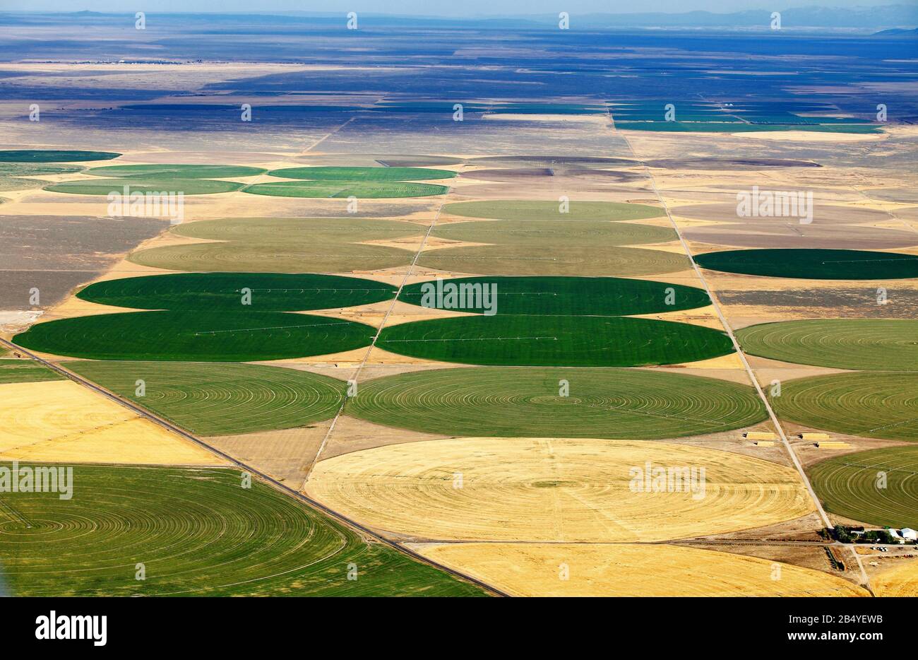 An aerial view of the crop circles created in farm fields by center pivot sprinklers. Stock Photo