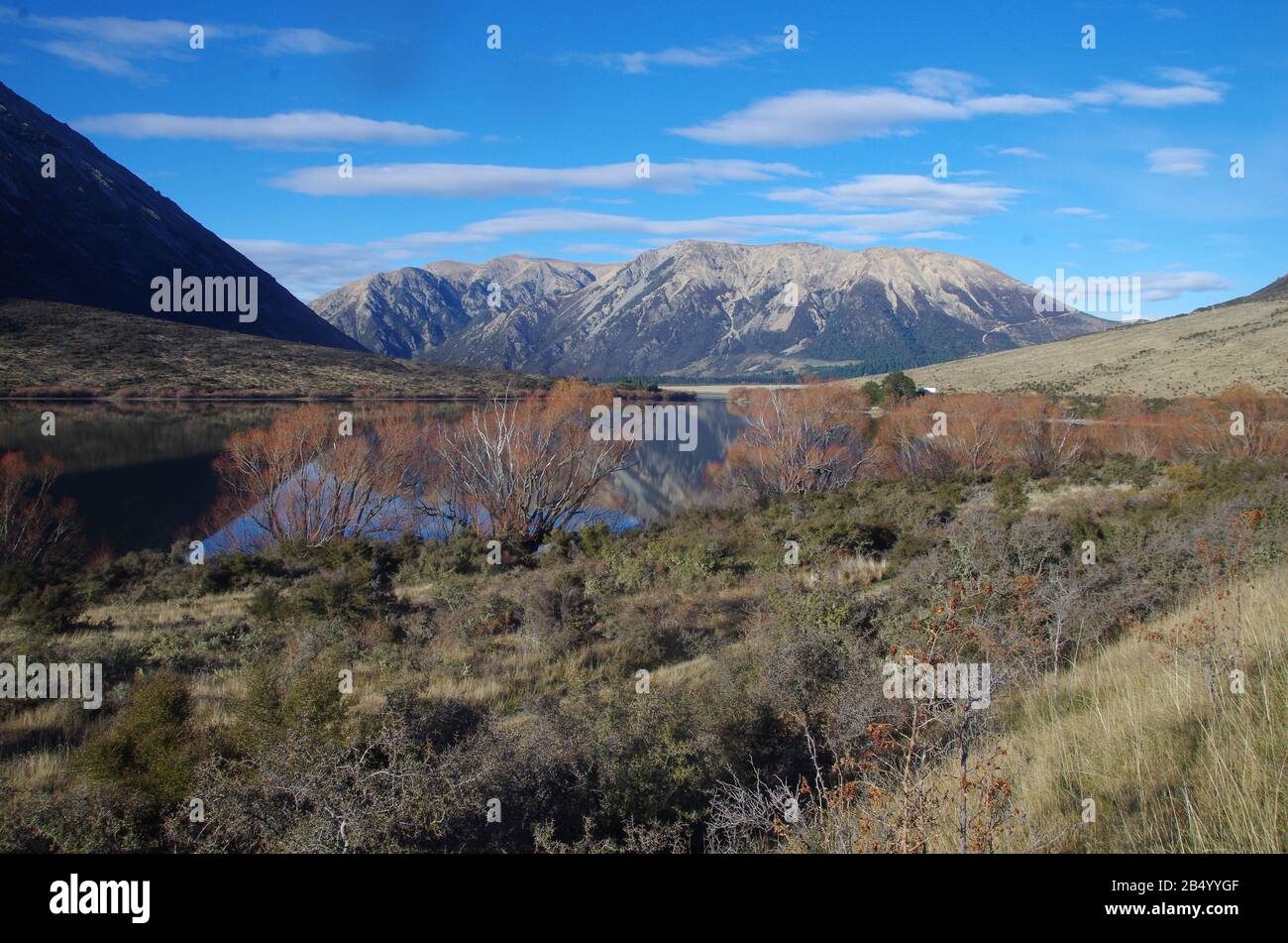 State Highway 73 alternative Te Araroa Trail route. South Island. New