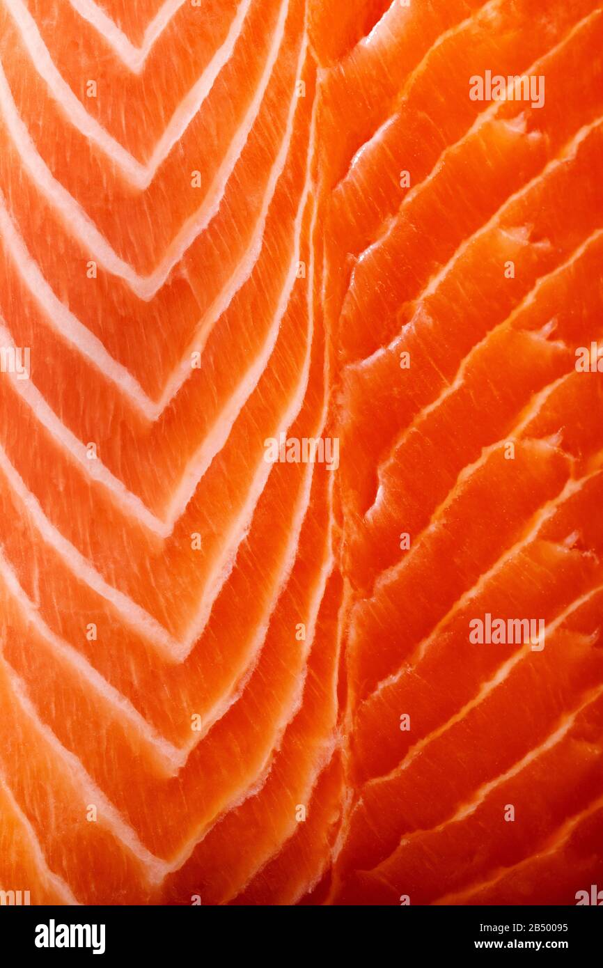 Macro close up of a raw salmon fillet Stock Photo Alamy