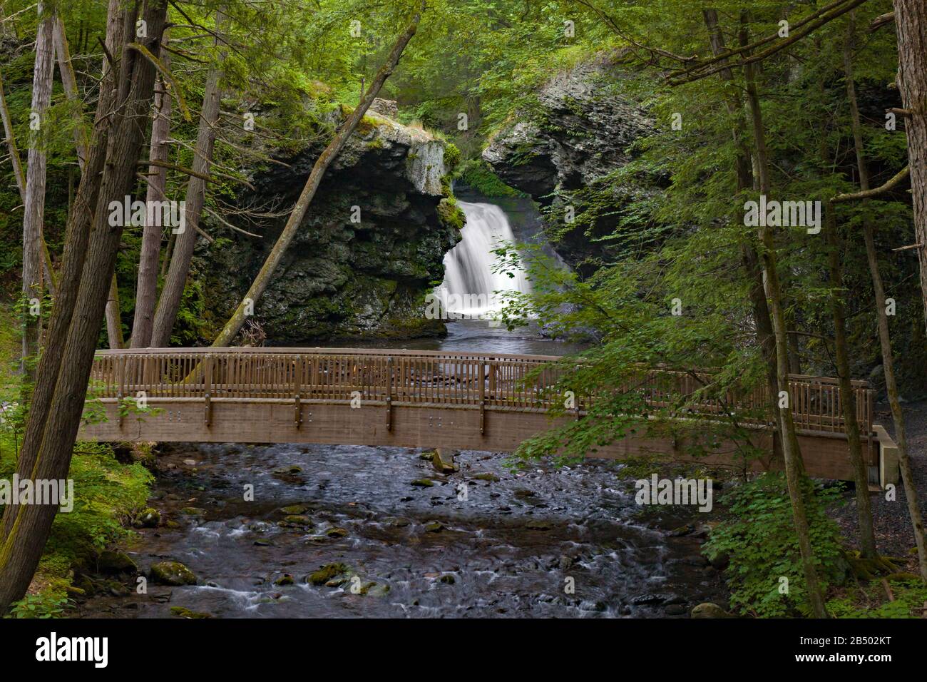 Marshall's Falls on Marshalls Creek in Pennsylvania’s Pocono Mountains flows through an eastern hemlock ravine. Stock Photo