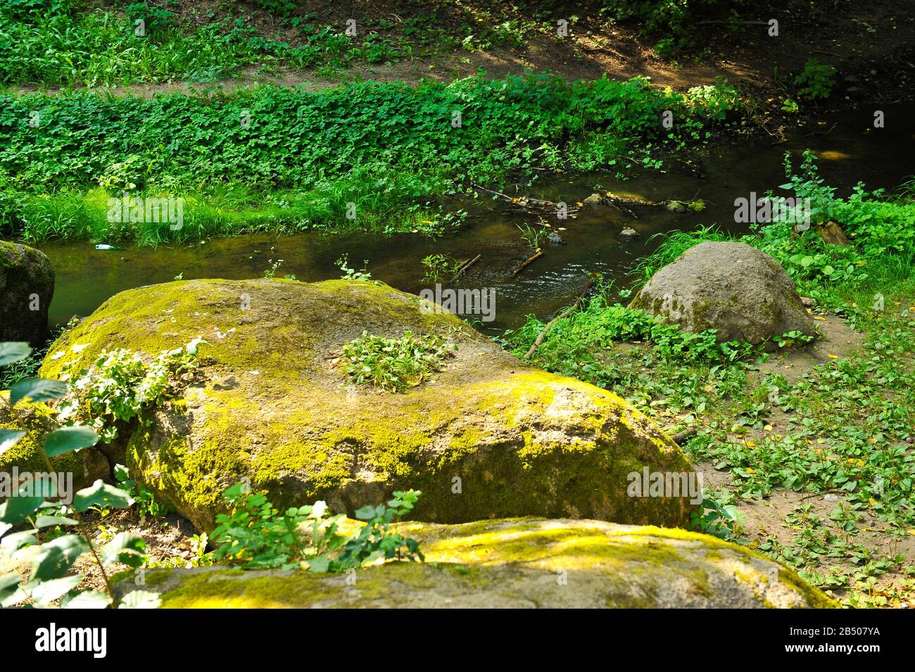 Uman hi-res stock photography and images - Alamy