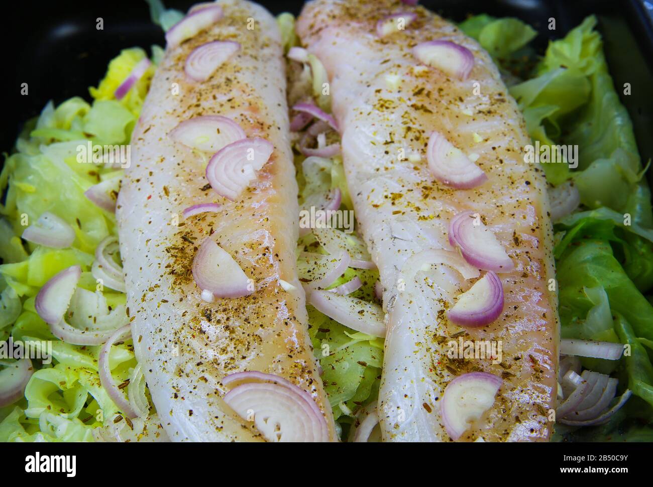 Preparation of fish meal: View on isolated oven tray with raw codfish fillets poached on pointed cabbage seasoned with onions, cumin, garlic and peppe Stock Photo