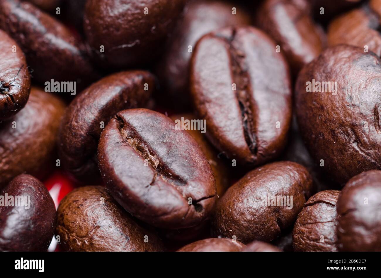 order coffee beans