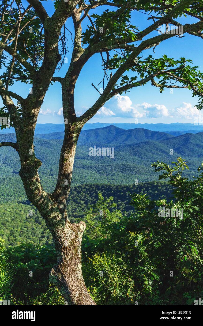 Mount pisgah national park hires stock photography and images Alamy