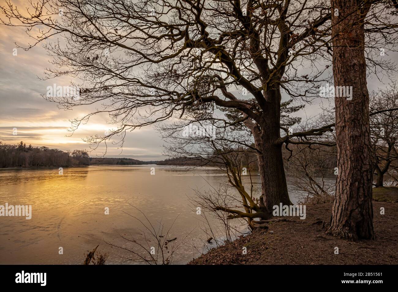 no fishing sign at lakeside with sunset star burst through trees Stock Photo