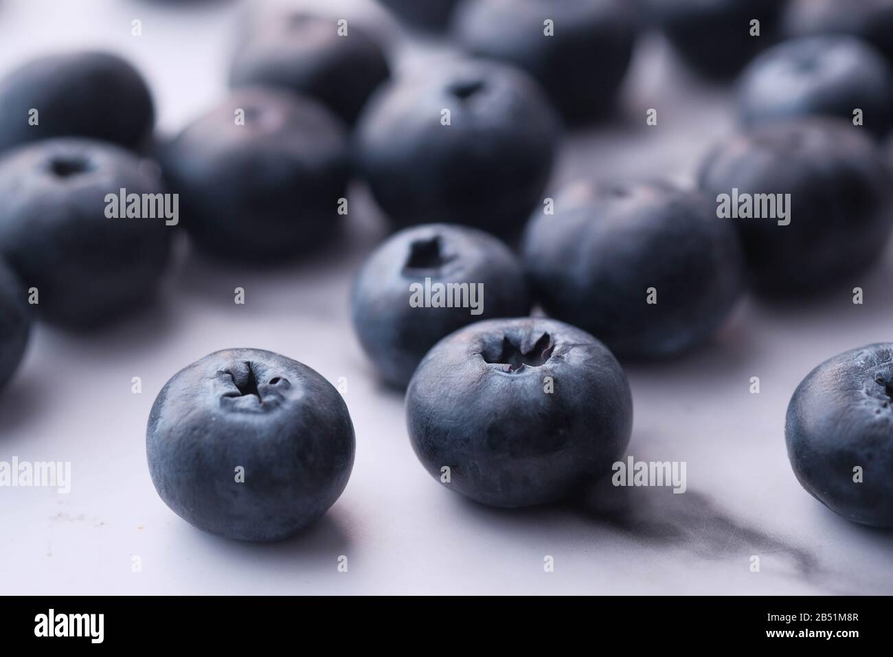 Close up of blue berry on white background  Stock Photo