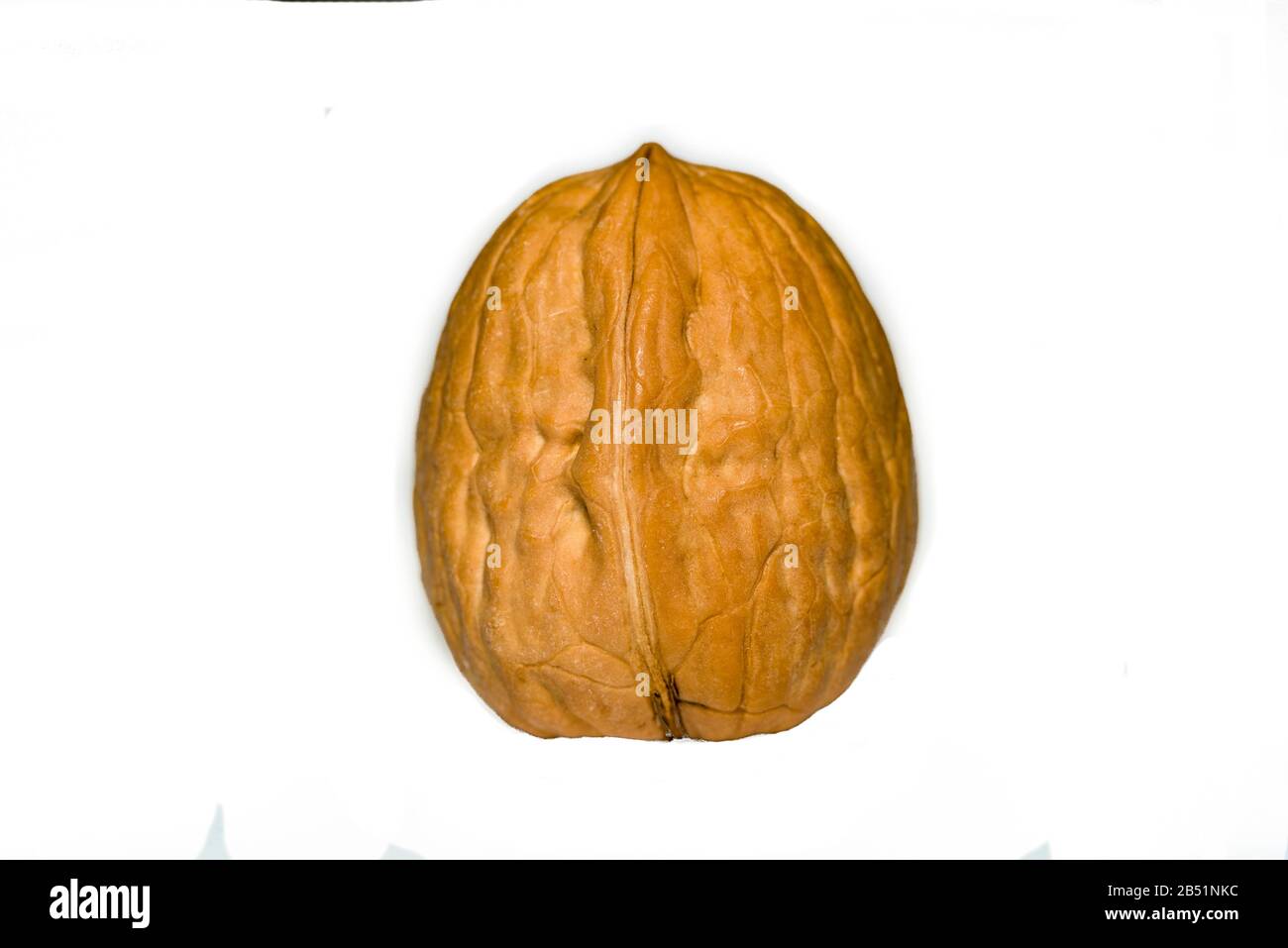 walnut on white background Walnut on a white. Stock Photo