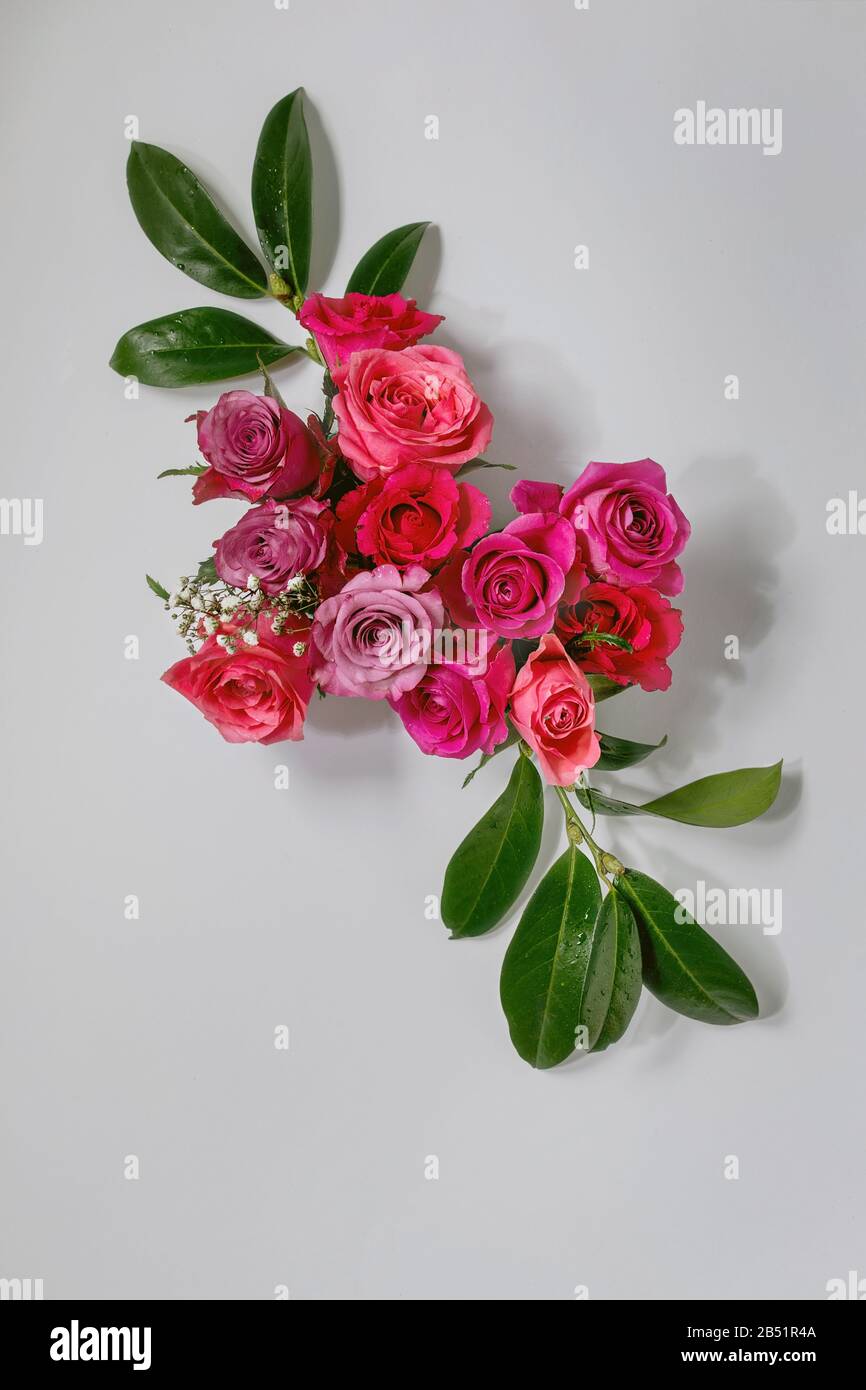 Creative layout roses flowers Stock Photo - Alamy