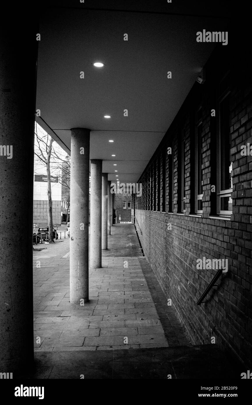 black and white hamburgs