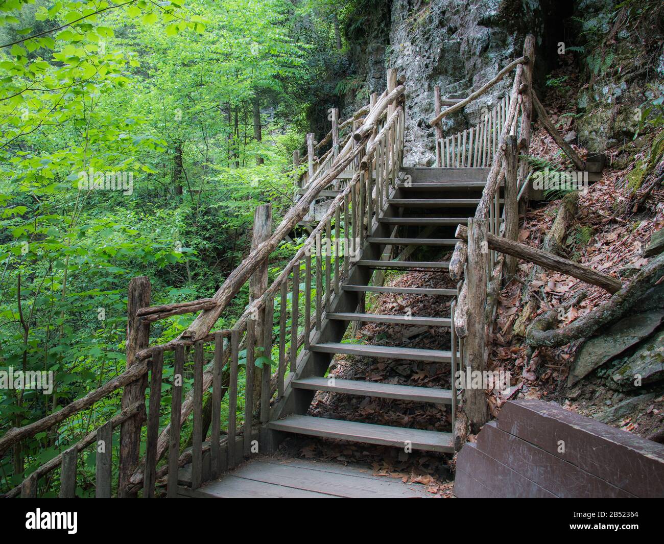 Wooden Steps On A Steep Hillside In The Forest Stock Photo, Picture and  Royalty Free Image. Image 36876055.