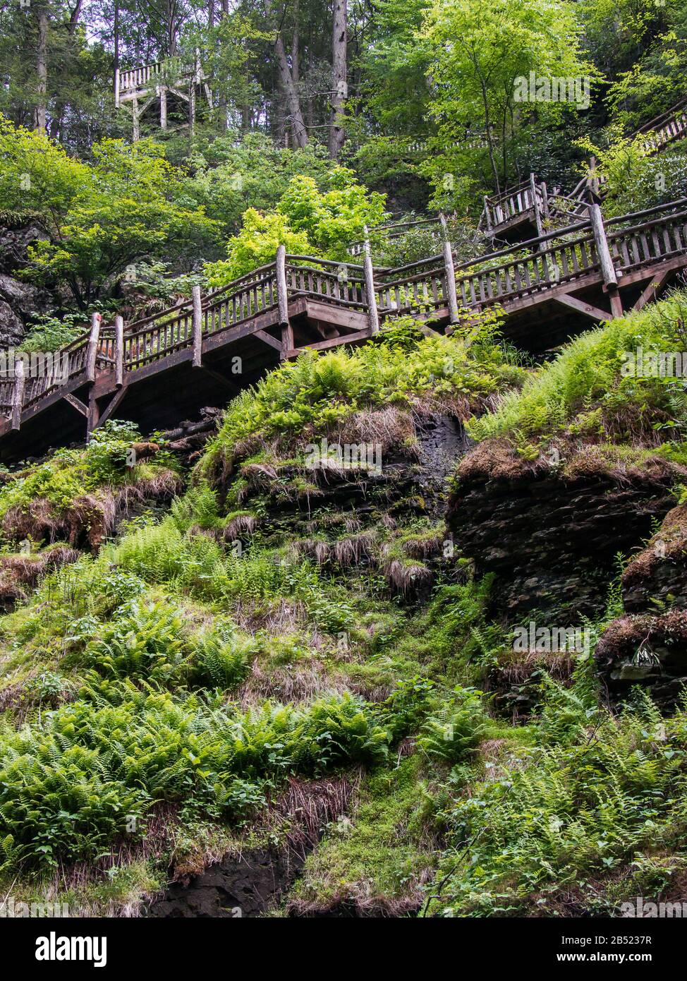 Wooden stairs and railing at Bushkill Falls in the Pocono Mountains of eastern Pennsylvania Stock Photo