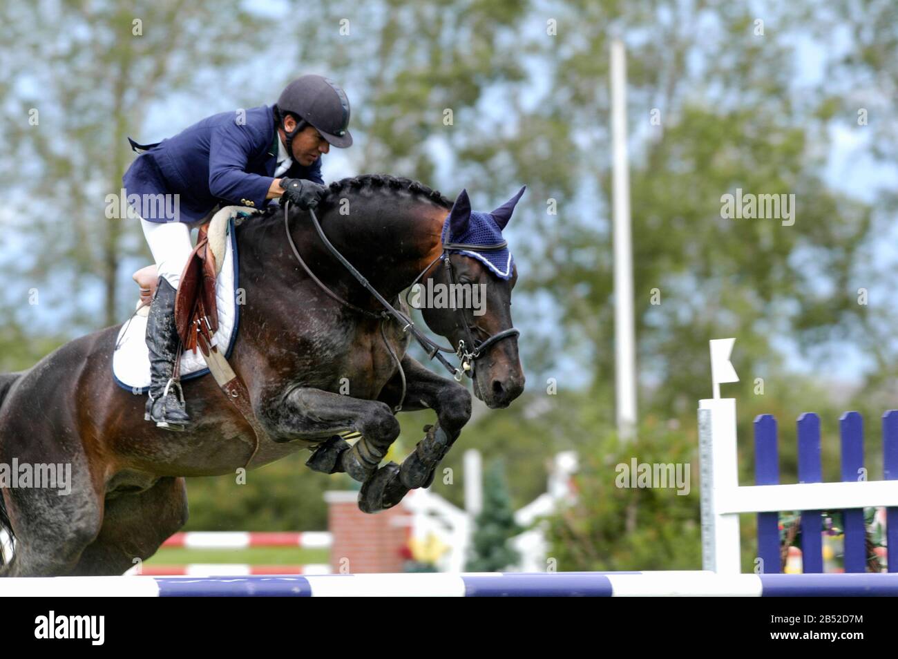 The North American Spruce Meadows 2004, Aon Reed Stenhouse Cup, Jaime