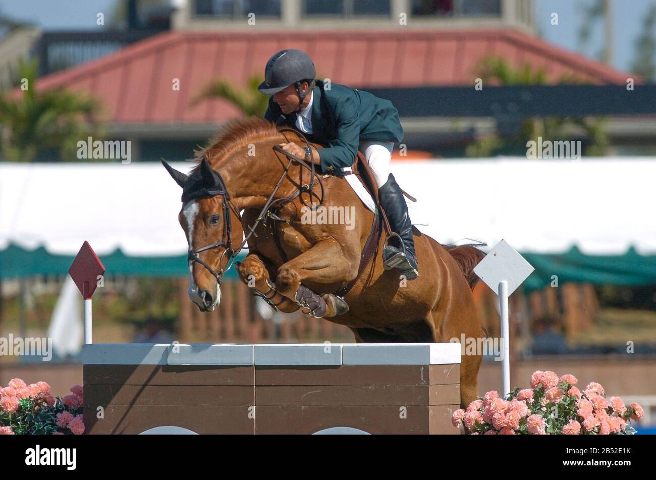 CSIO Wellington, CN 1.45m Speed Class, Darragh Kerins (IRE) riding Nabuco Stock Photo