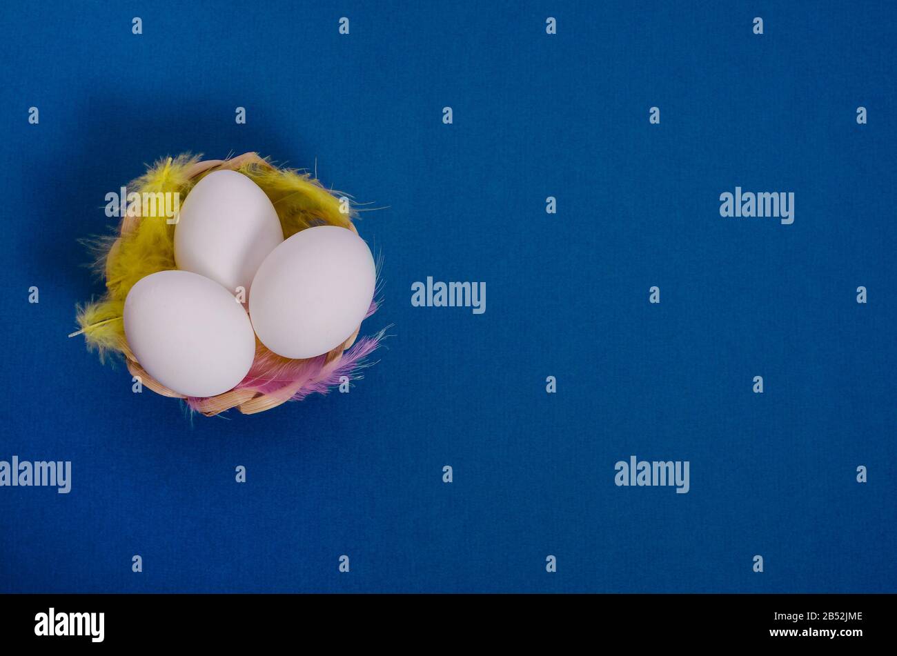 White easter eggs in a nest with feathers on a classic blue background ...