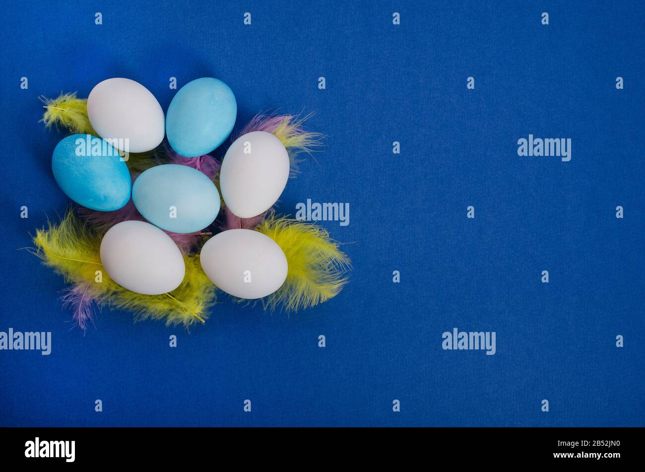 White and blue easter eggs in a nest with feathers on a classic blue ...