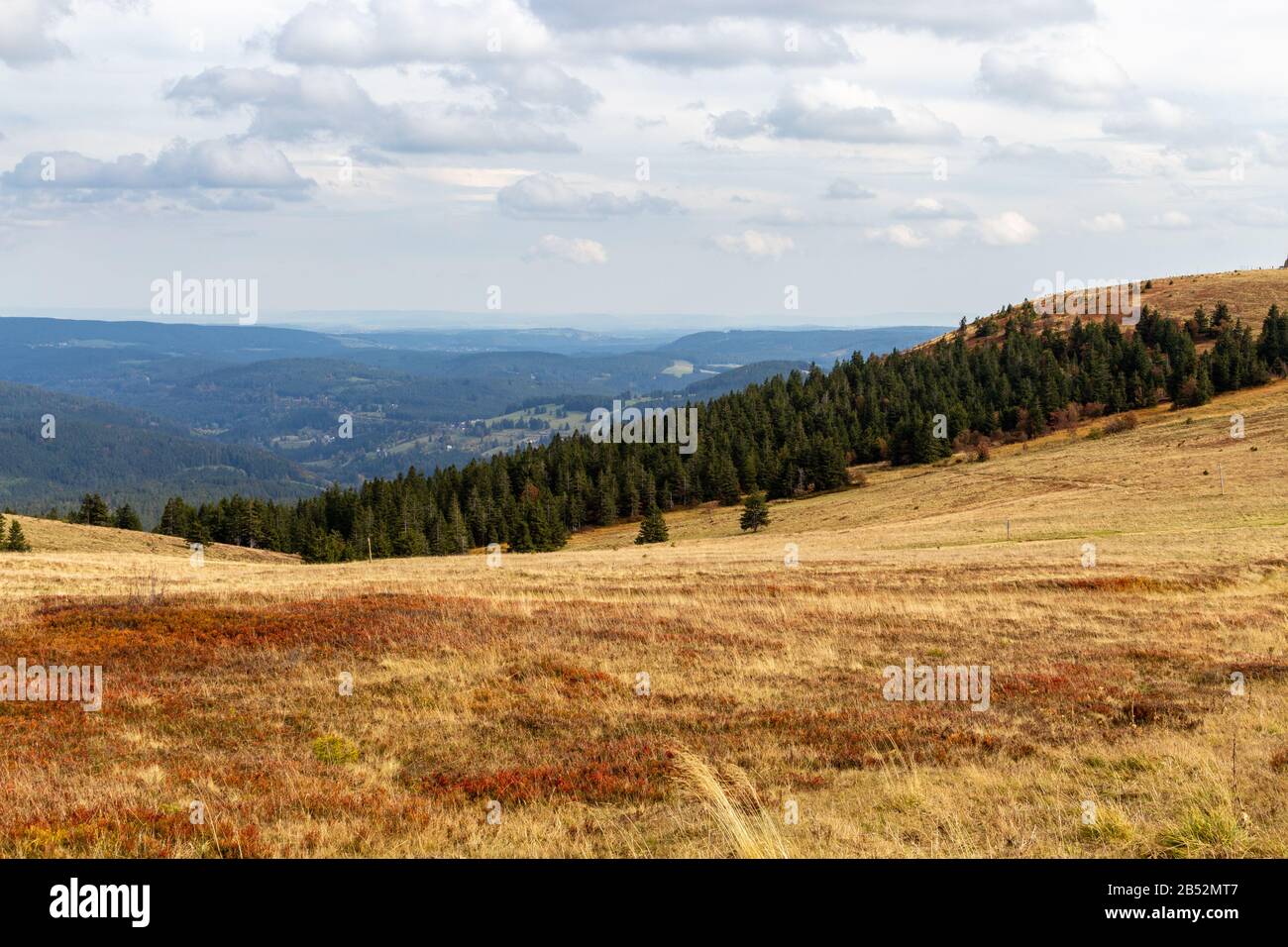 Landscape on the summit of the Feldberg, Black Forest, Germany Stock Photo