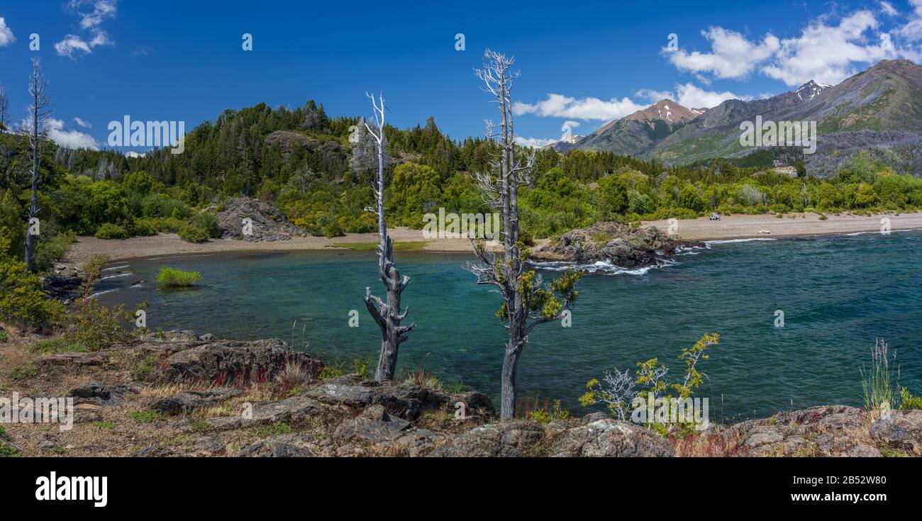 Dead trees standing on the shore of Futaleufquen Lake, Parque Nacional Los Alerces, Patagonia Argentina Stock Photo