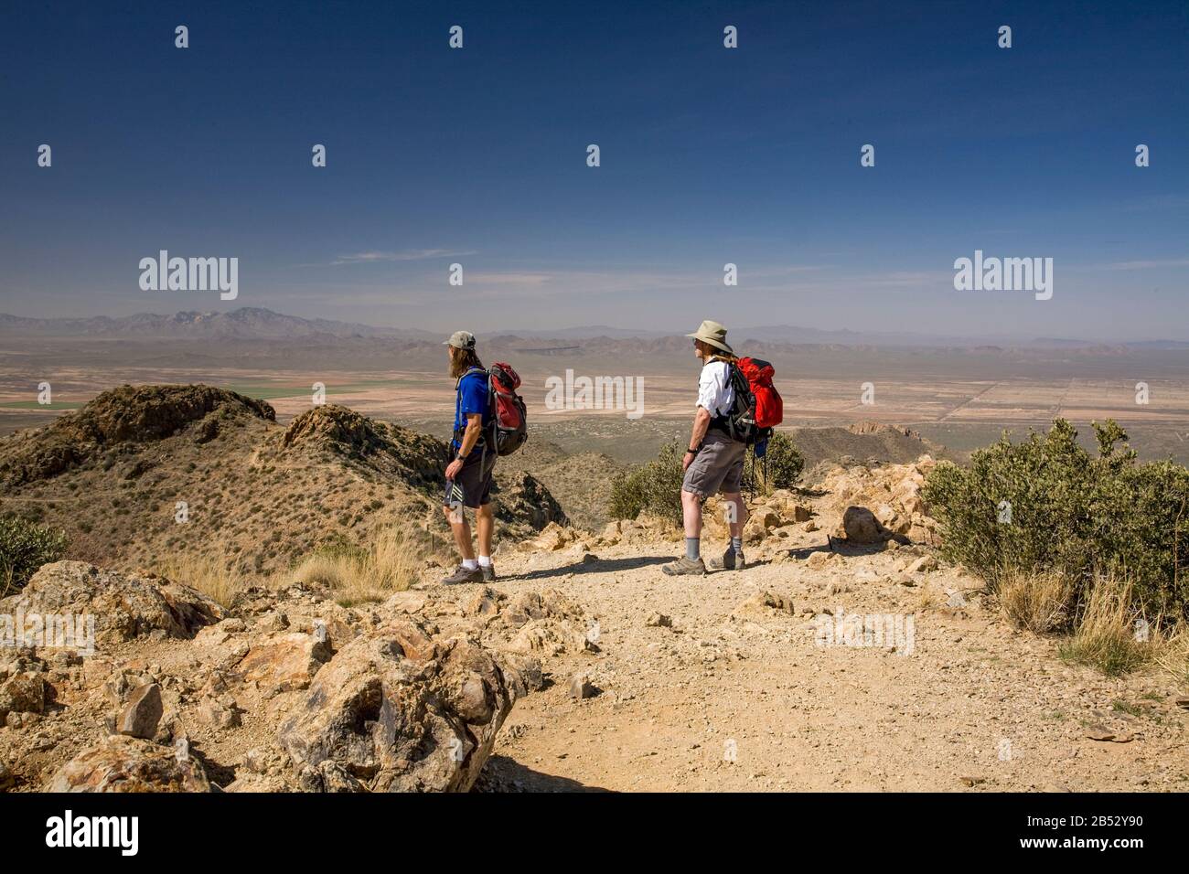 AZ00033-00...ARIZONA - Hikers on the summit of Wasson Peak in Saguaro National Park. Stock Photo