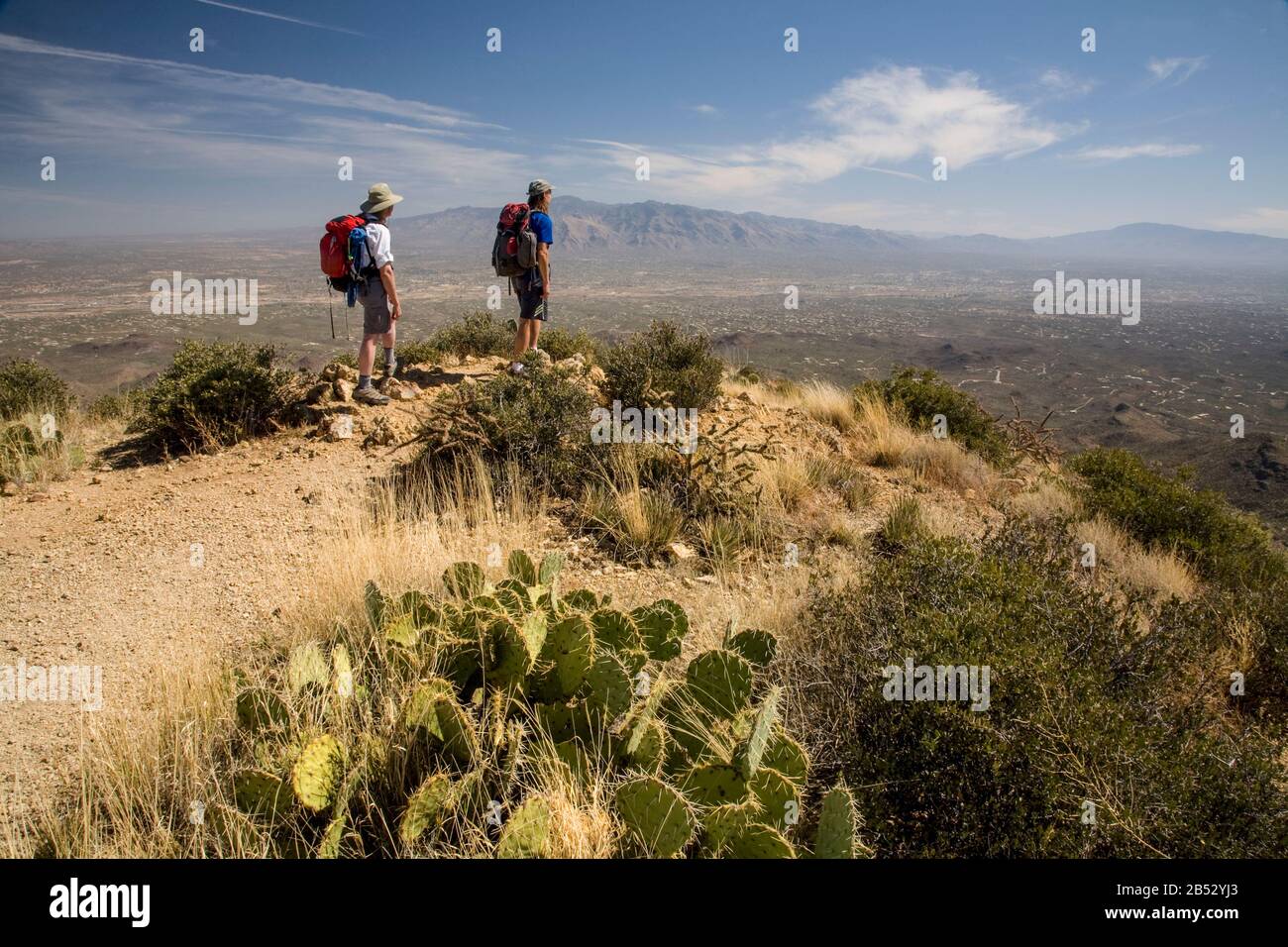 AZ00036-00...ARIZONA - Hikers on the summit of Wasson Peak in Saguaro National Park. Stock Photo