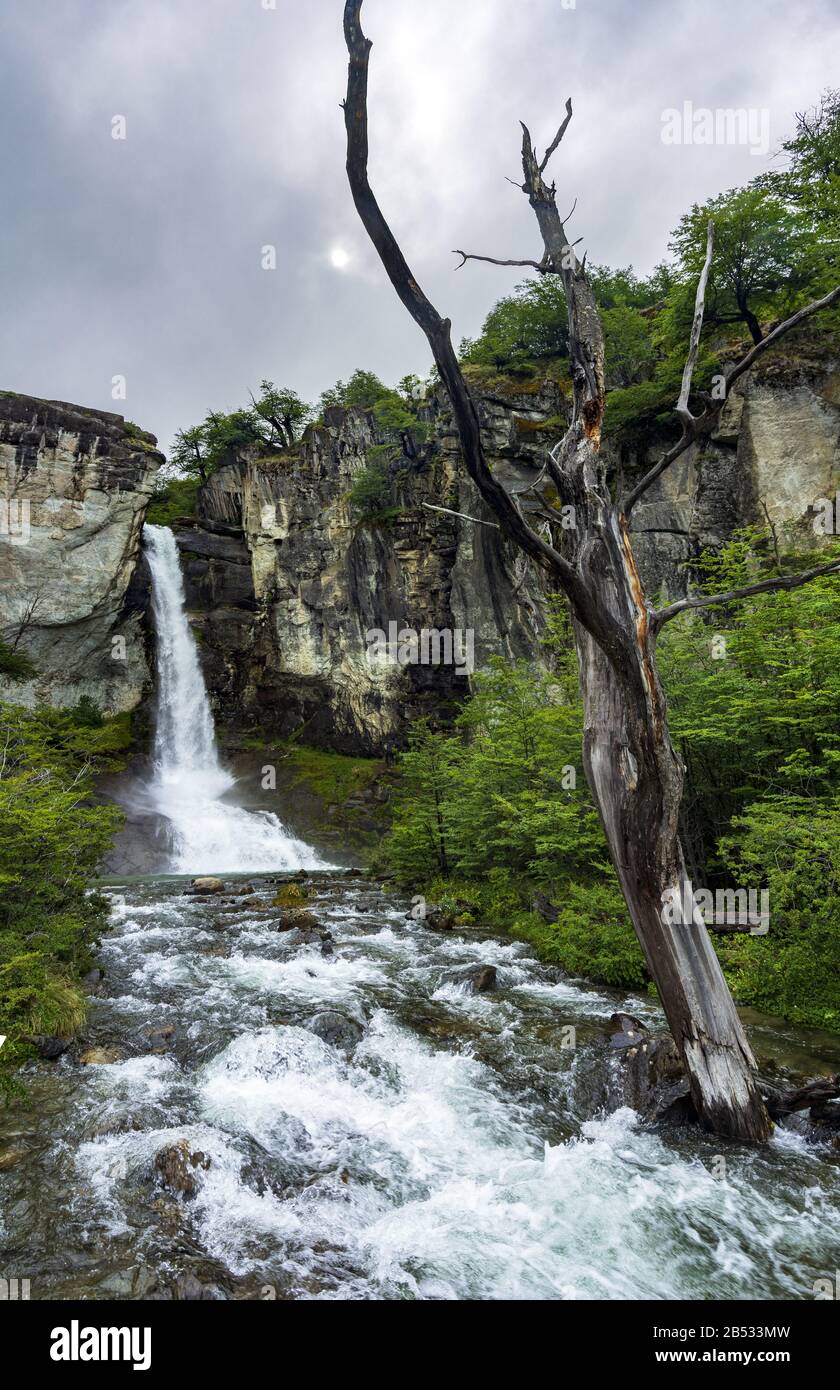 The Chorrillo del Salto waterfall near Chalten, Patagonia Argentina