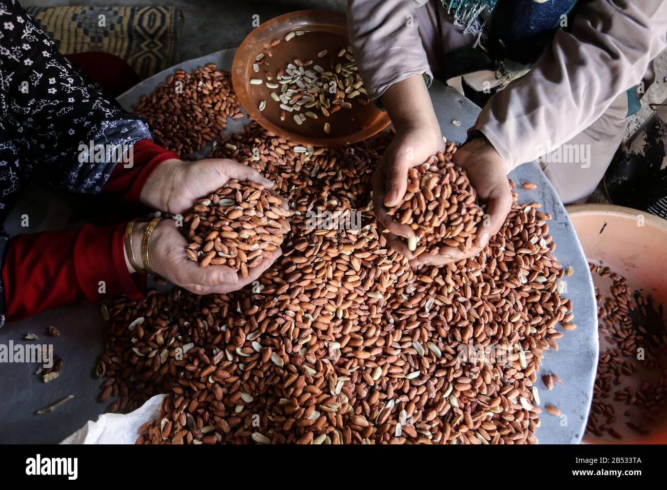 Palestinian women working in a peanut factory, 'Pistachio', tomorrow will be International Women's Day in Gaza Strip, on March 7, 2020. Stock Photo