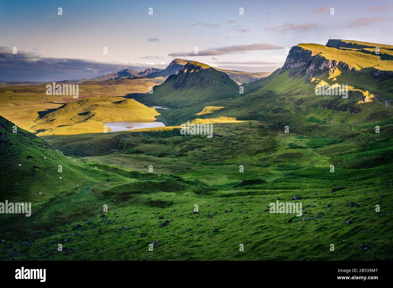 Quiraing hiking trail with sheep of meadows during sunset, Isle of Skye, Scotland Stock Photo