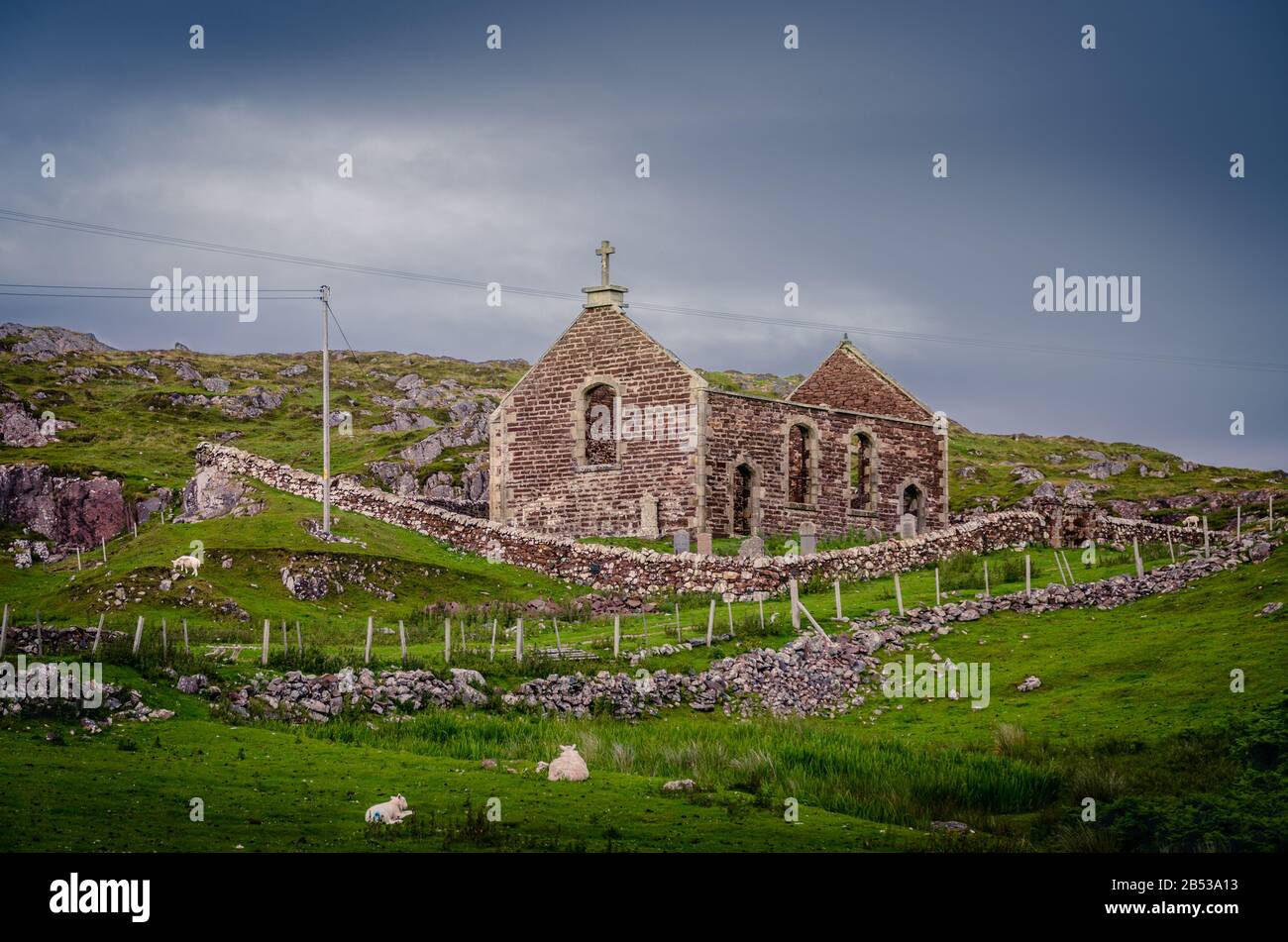 Ruined church with sheep among tombs, Highlands, Scotland, UK Stock Photo