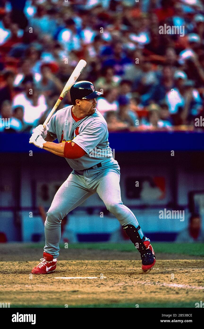 Mark mcgwire st louis cardinals hi-res stock photography and