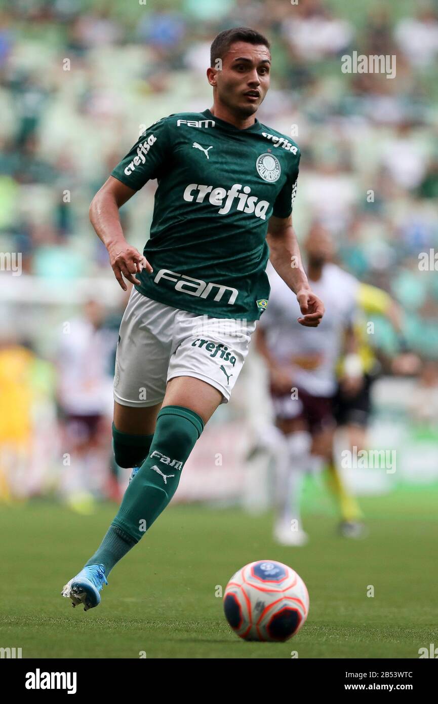 Palmeiras x Ferroviária: Onde assistir e informações sobre a