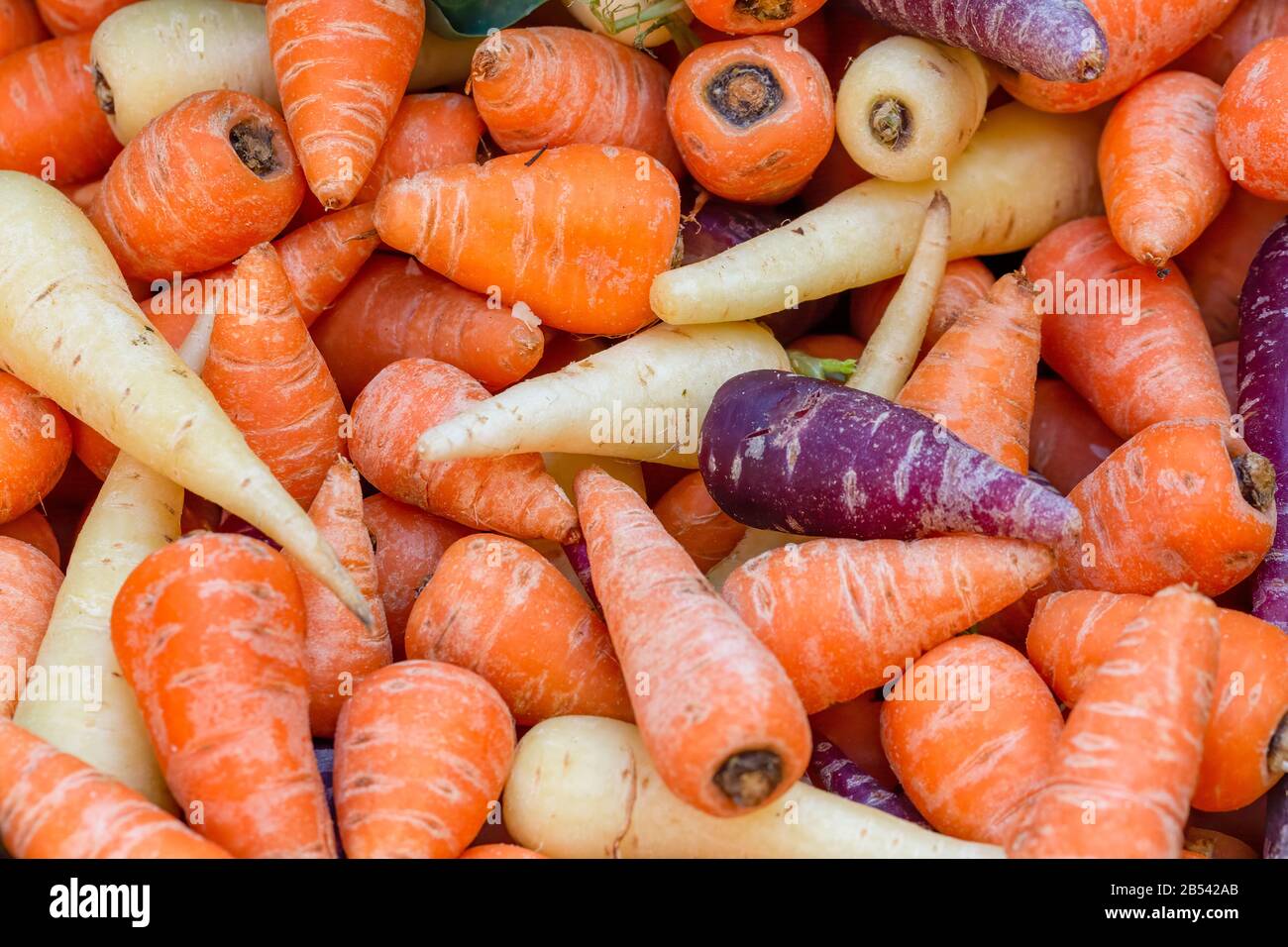 Pile of purple, orange and white Chantenay carrots, Daucus carota, on a market stall. Background image Stock Photo