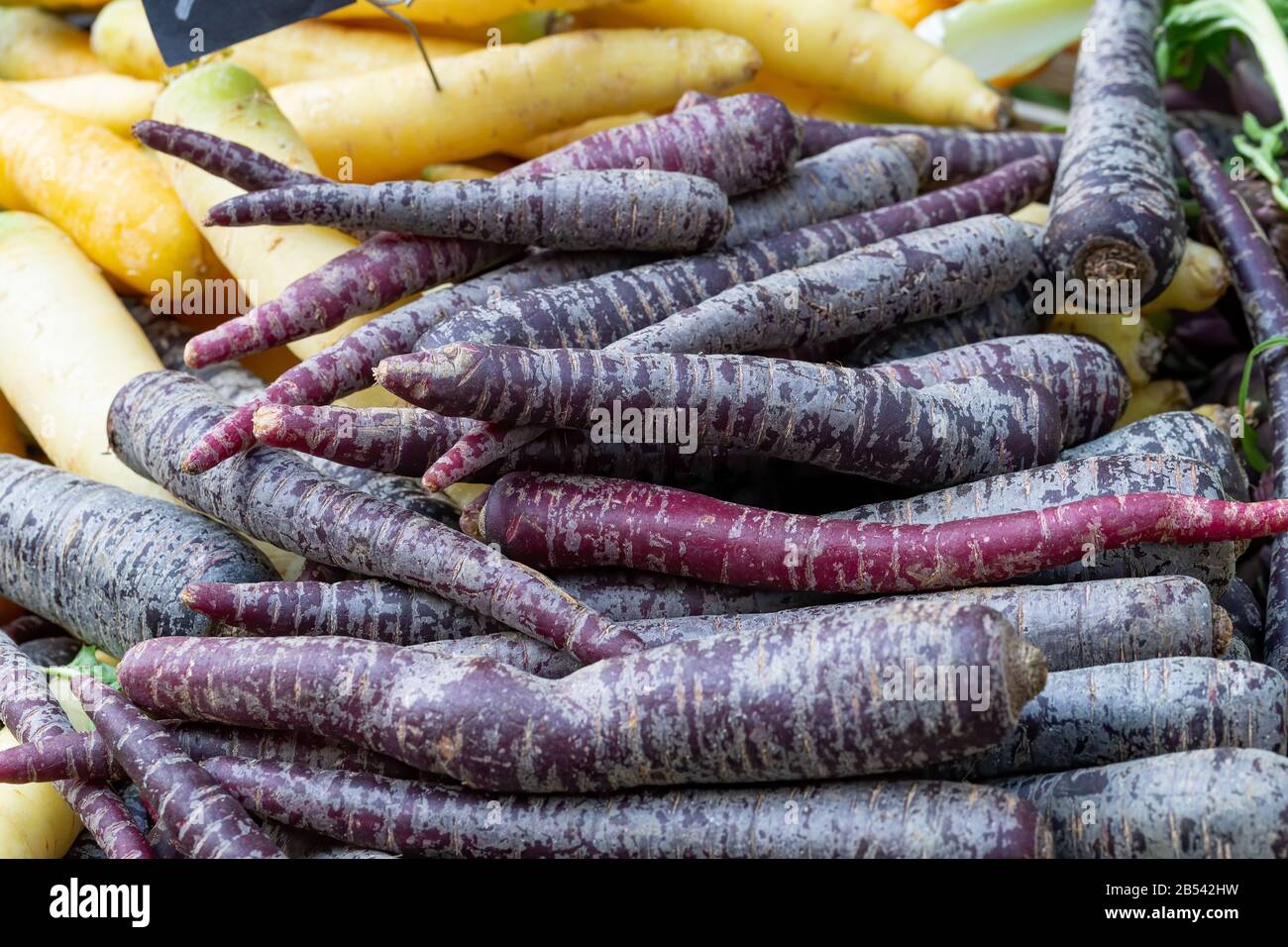 Pile of purple carrots, Daucus carota, on a market stall. Background image Stock Photo