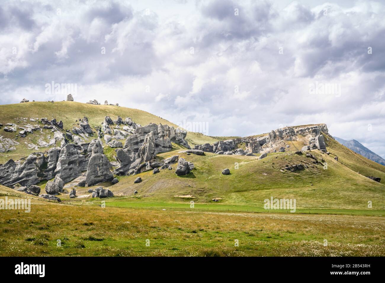 Rock formations on the meadows of the Castle Hill, New Zealand Stock Photo