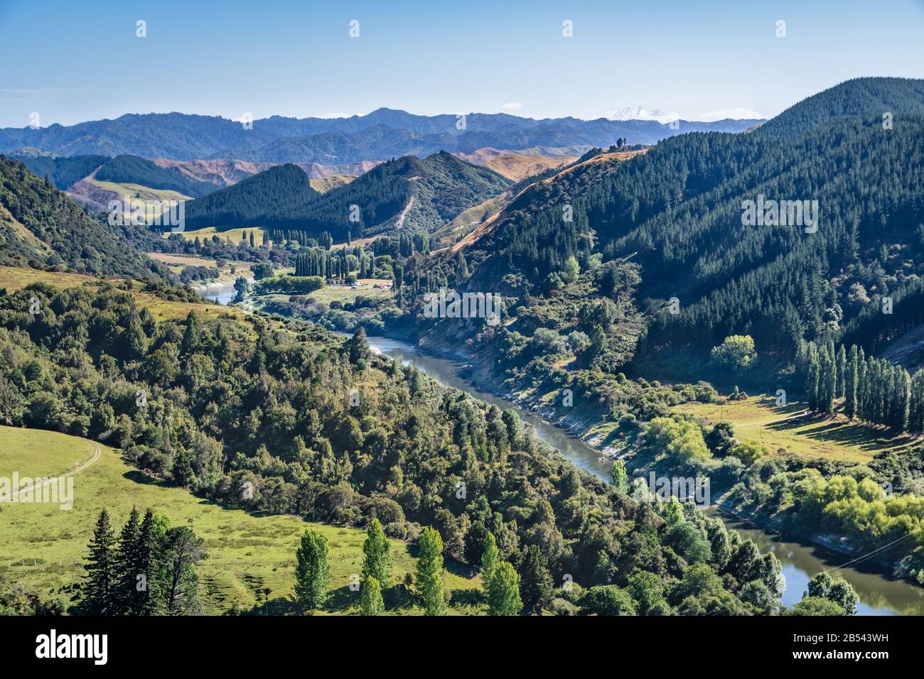 View on the Whanganui river and valley, New Zealand Stock Photo