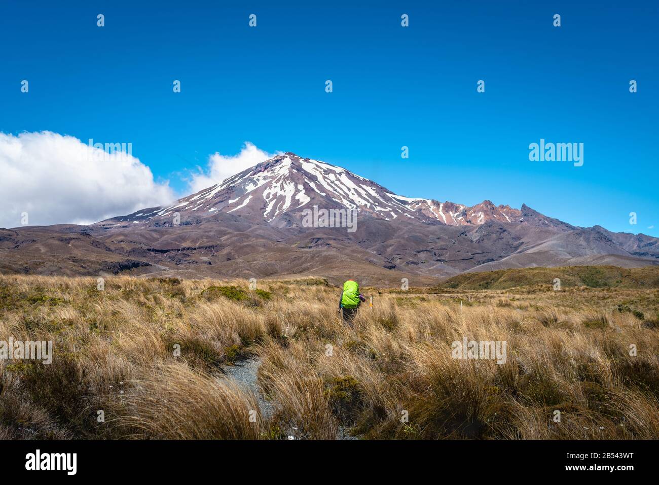 Hiker crossing the meadows on Tongariro Alpine Crossing, New Zealand Stock Photo