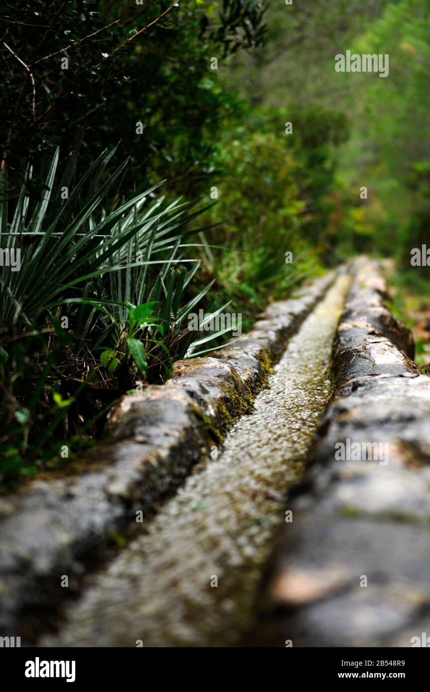 outdoor cement aqueduct, full of mushrooms and moo. irrigation ditch in