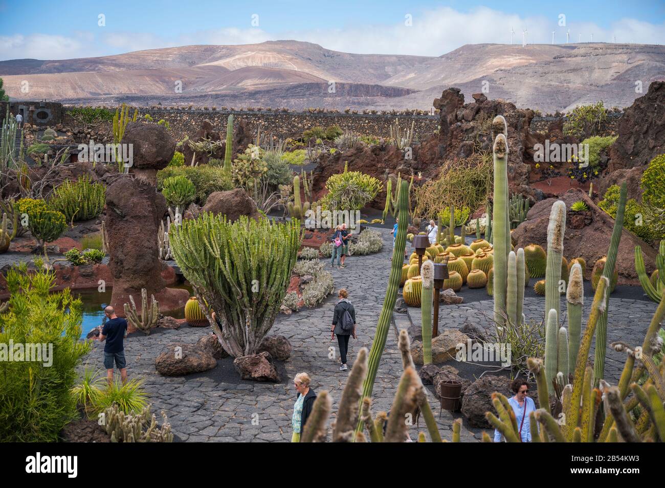 The spectacular Jardin de Cactus, Lanzarote. Stock Photo