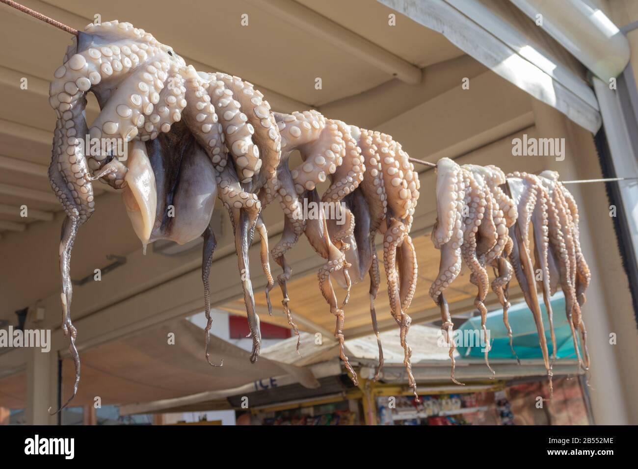 Octopus tentacles drying in the sun near a cafe in greece Stock Photo