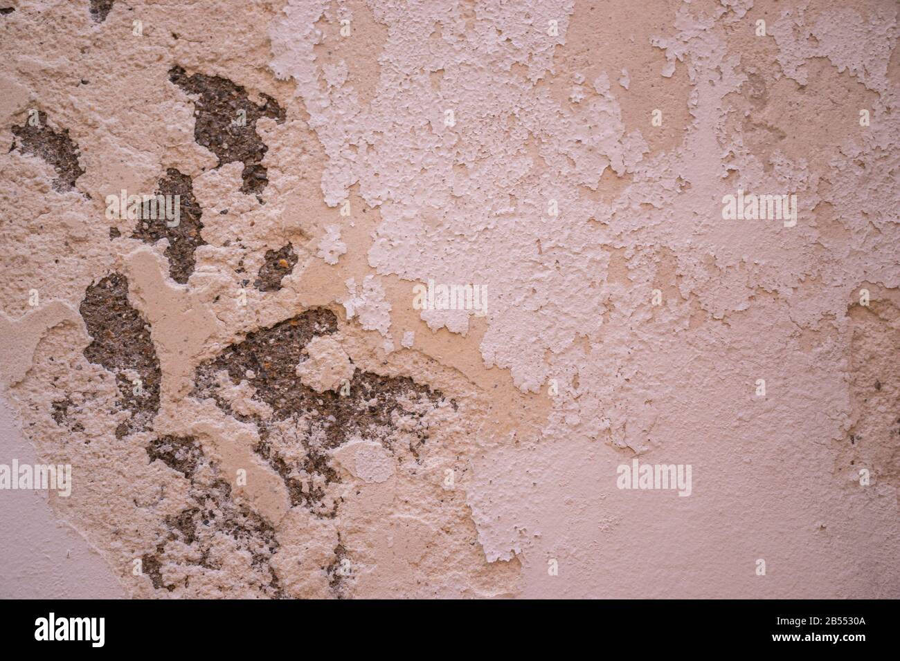 Pink shabby background painted texture Stock Photo