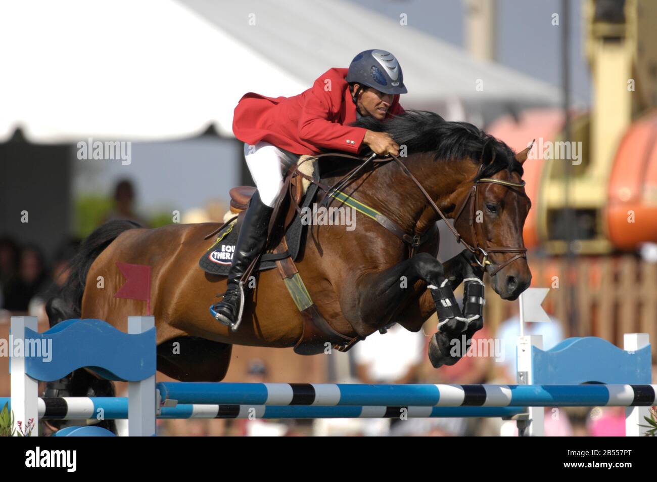 Pato Muente (ARG) riding As di Villagana, CSIW Wellington, February