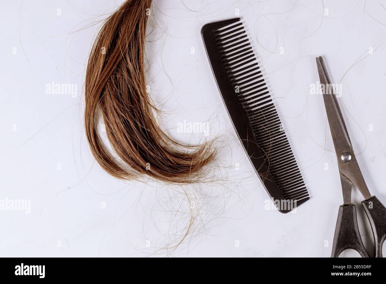 Cropped view a ponytail cutting hair for donation, scissors and comb Stock Photo