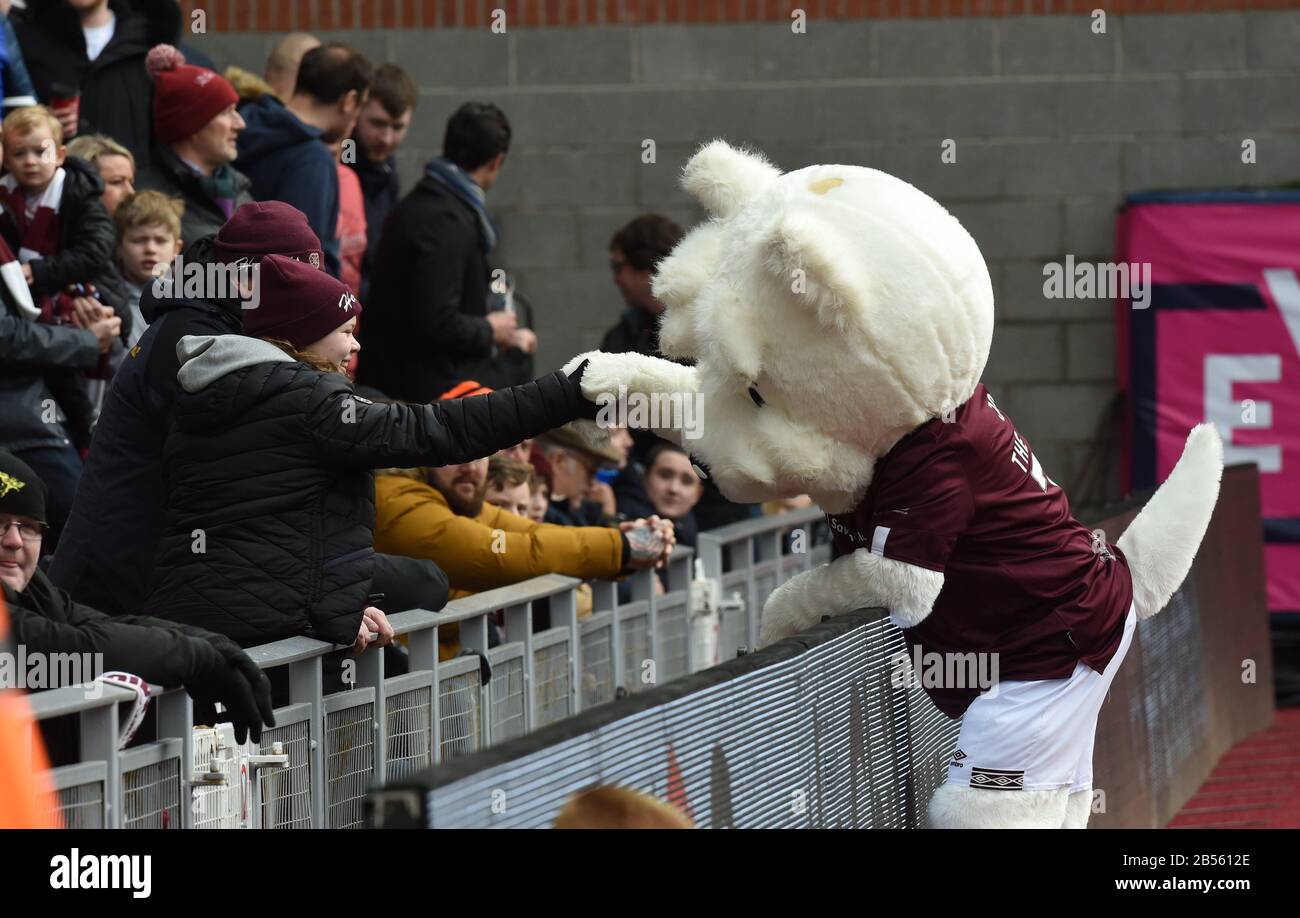 Tynecastle Park .Edinburgh.Scotland.Uk 7th March 20 Scottish Premiership Hearts v Motherwell. Hearts Mascot 'Jock the Jambo'shakes hands with young fan. Credit: eric mccowat/Alamy Live News Stock Photo