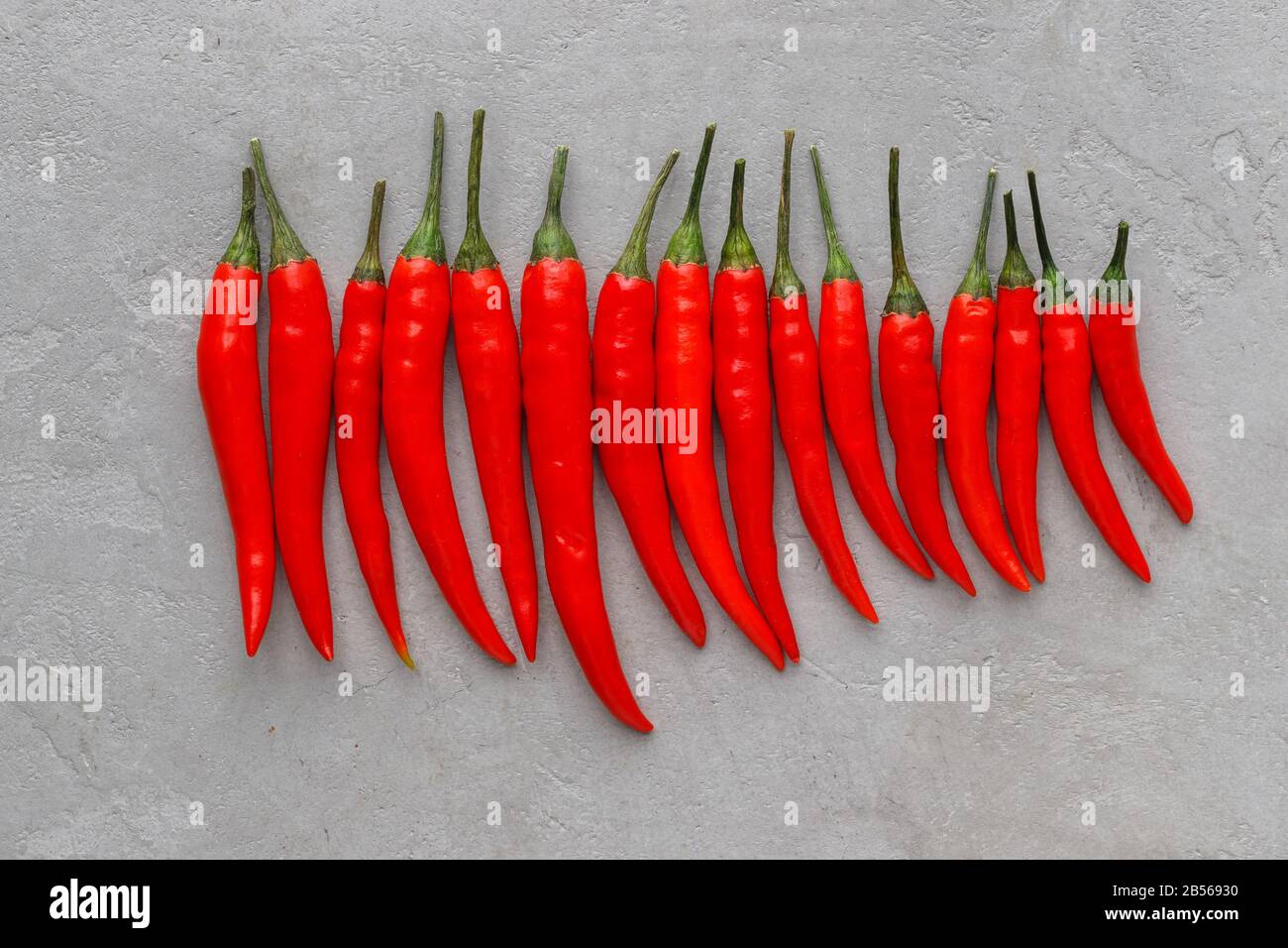 Flat lay composition a row of red hot chilli peppers on light concrete  background. Spicy capsicum peppers wallpaper pattern Stock Photo - Alamy