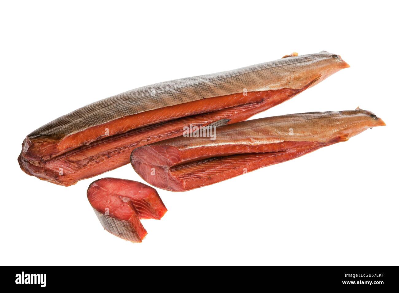 Fish on an isolated studio background Stock Photo